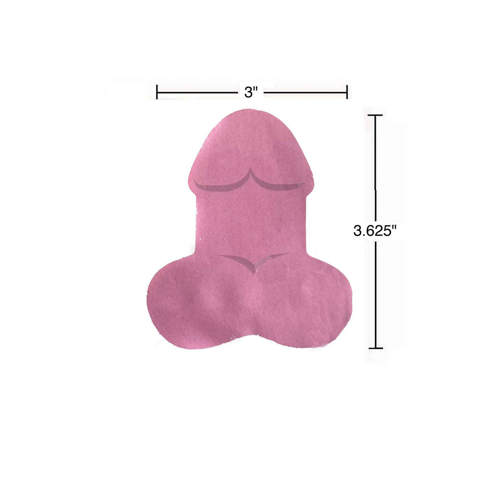Super Fun Penis Sticky Notes - Multi Novelty Sticky Notes - 100 Pack