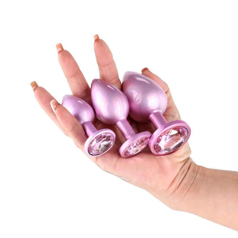 Rear Assets Trainer Kit - Iridescent - Iridescent Metallic Butt Plugs - Set of 3 Sizes