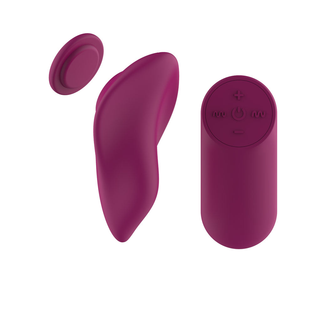 Passion Play Magnet Panty Vibe with Remote - USB Rechargeable Panty Vibrator with Wireless Remote Control