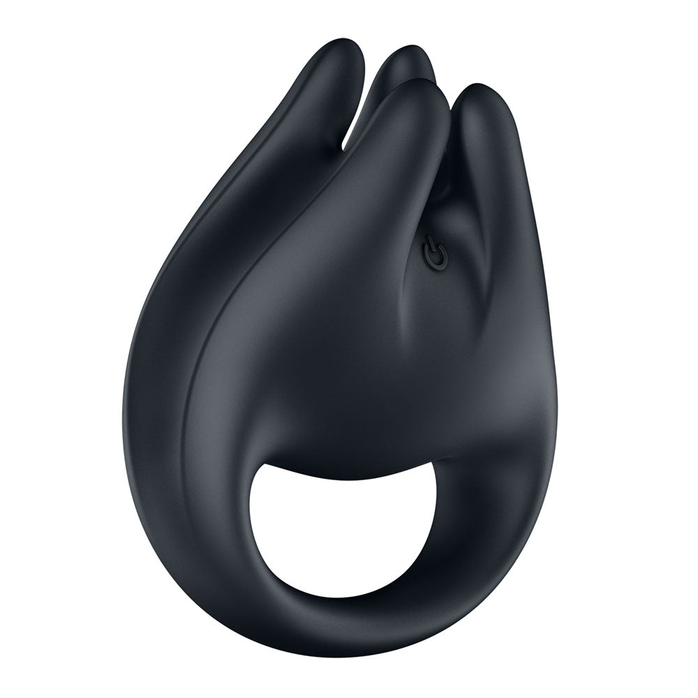 Satisfyer Perfect Pair 1 -  USB-C Rechargeable Vibrating Couples Ring