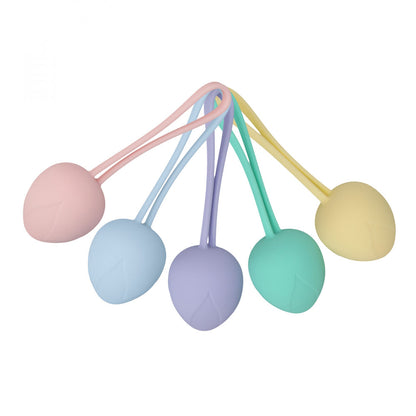 LOVELINE PelviFit Berry -  Kegel Kit - Set of 5 Sizes