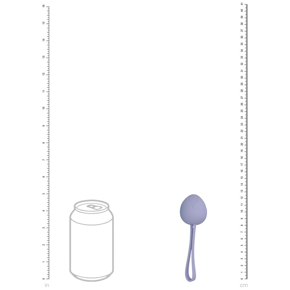 LOVELINE PelviFit Berry -  Kegel Kit - Set of 5 Sizes