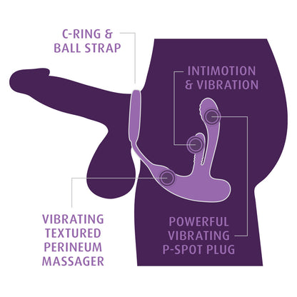 Anal Fantasy Elite Ass-Gasm intiMotion -  USB Rechargeable Quad Motor Prostate Massager with Remote